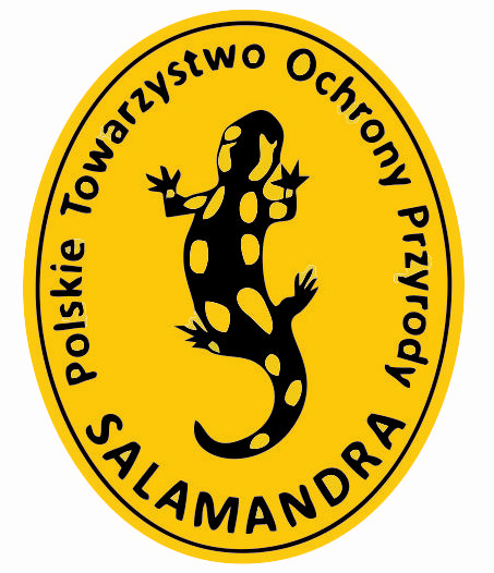 salamandra-logo